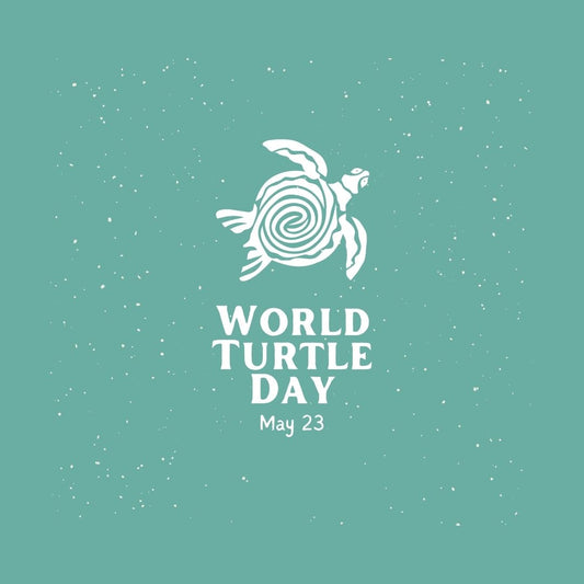 word turtle day may 23, a sketch of a turtle on a turquoise background